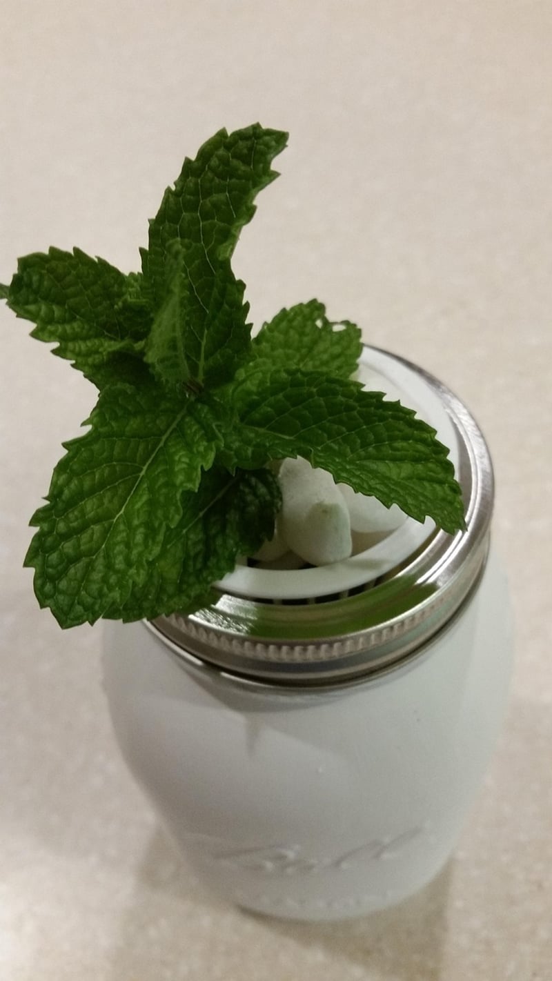 Hand-painted Mason Jars